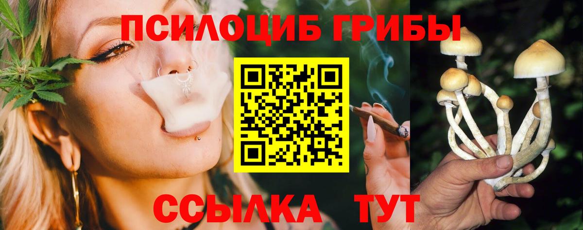 Галлюциногенные грибы Psilocybine cubensis Строитель
