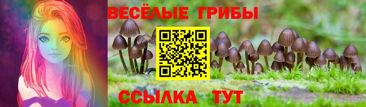 Строитель  Псилоцибиновые грибы Psilocybine cubensis  Вход с VPN 